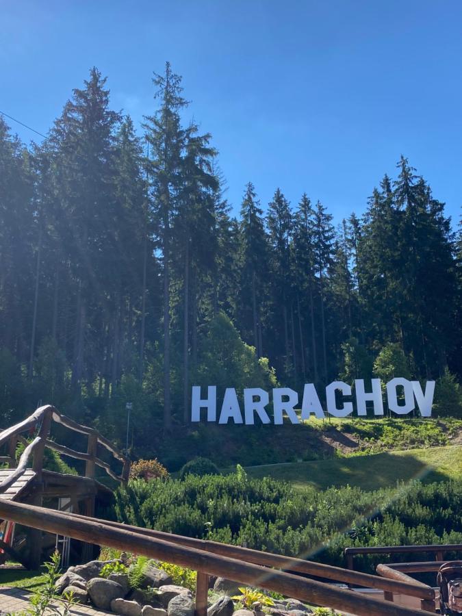 Apartman C. 19 Harrachov Buitenkant foto